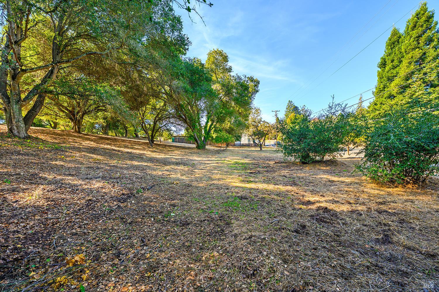 7621 Healdsburg Avenue photo 3