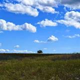 560846235_ab250076-e4c0-4f41-87a2-49143bd2375b.jpg