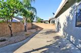 561176773_21929fa4-16b2-4c06-8796-331c07b8f882.jpg