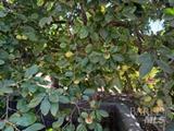 561219559_aaf1df3a-7cd6-4602-a130-60d85a5d084e.jpg